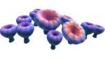 Acid Mushroom