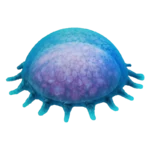Ancient Floater