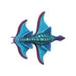 Arctic Ray