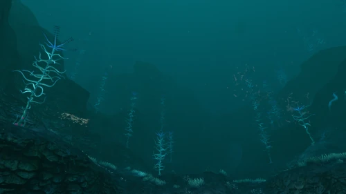 Blood Kelp Zone