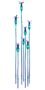 Blooming Raindrops