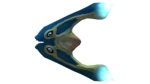 Boomerang
