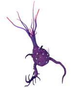Broken Mandrake