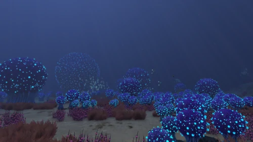 Bulb Zone