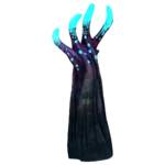 Crab Claw Kelp