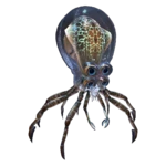 Crabsquid