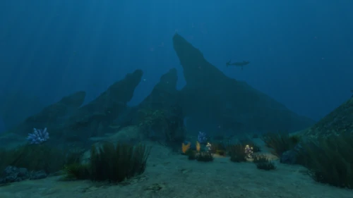 Crag Field