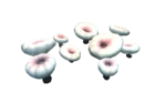 DeepShroom