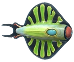 Discus Fish