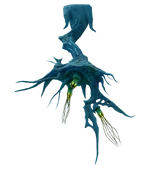 Frost Anemone