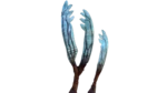Gabe's Feather