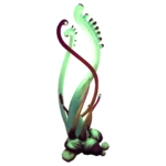 Ghost Weed