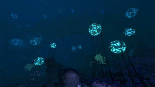 Grand Reef