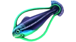 Hoopfish