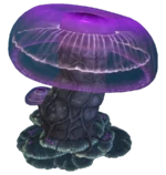 JellyShroom