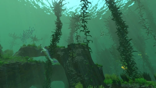 KelpForest