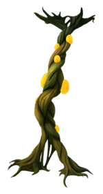 Kelp Root