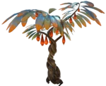 Lantern Tree