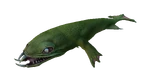 Lava Lizard