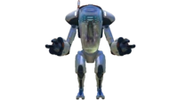 Prawn Suit