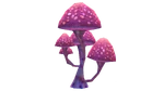 Pink Cap