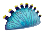Pouch Bulb