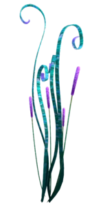 Purple Cattail
