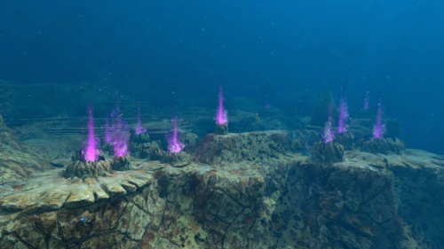 Purple Vents