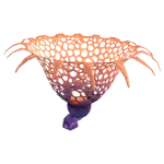 Radiant Sieve Coral