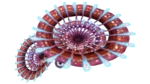 Regress Shell