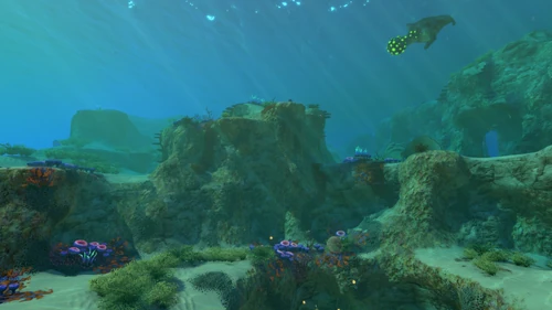 Safe Shallows