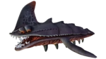 Sand Shark