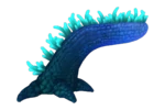 Scaly Maw Anemone