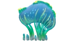 Sea Crown