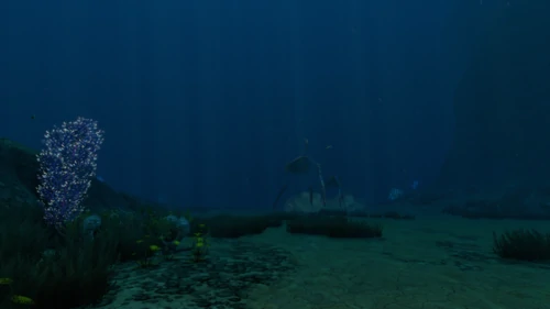Sea Treader's Path
