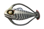 Spinefish