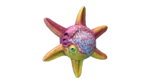Spinner Fish