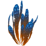 Spotted Dockleaf