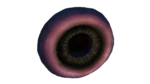 Tree Leech