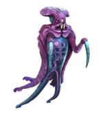 Warper